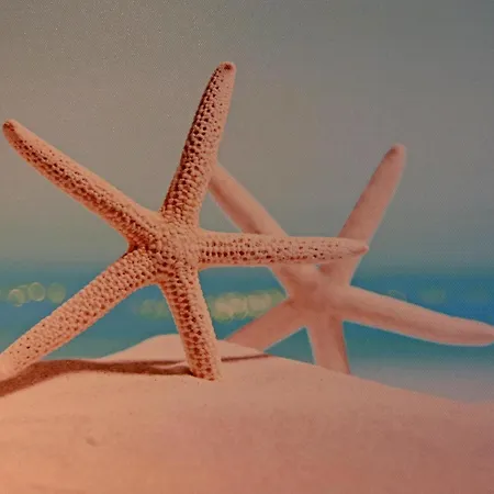 Appartementhaus Nicole, 아파트